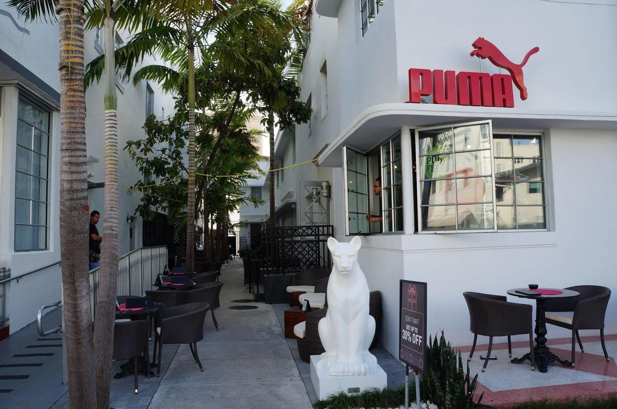 Posh South Beach Miami Beach Exteriör bild