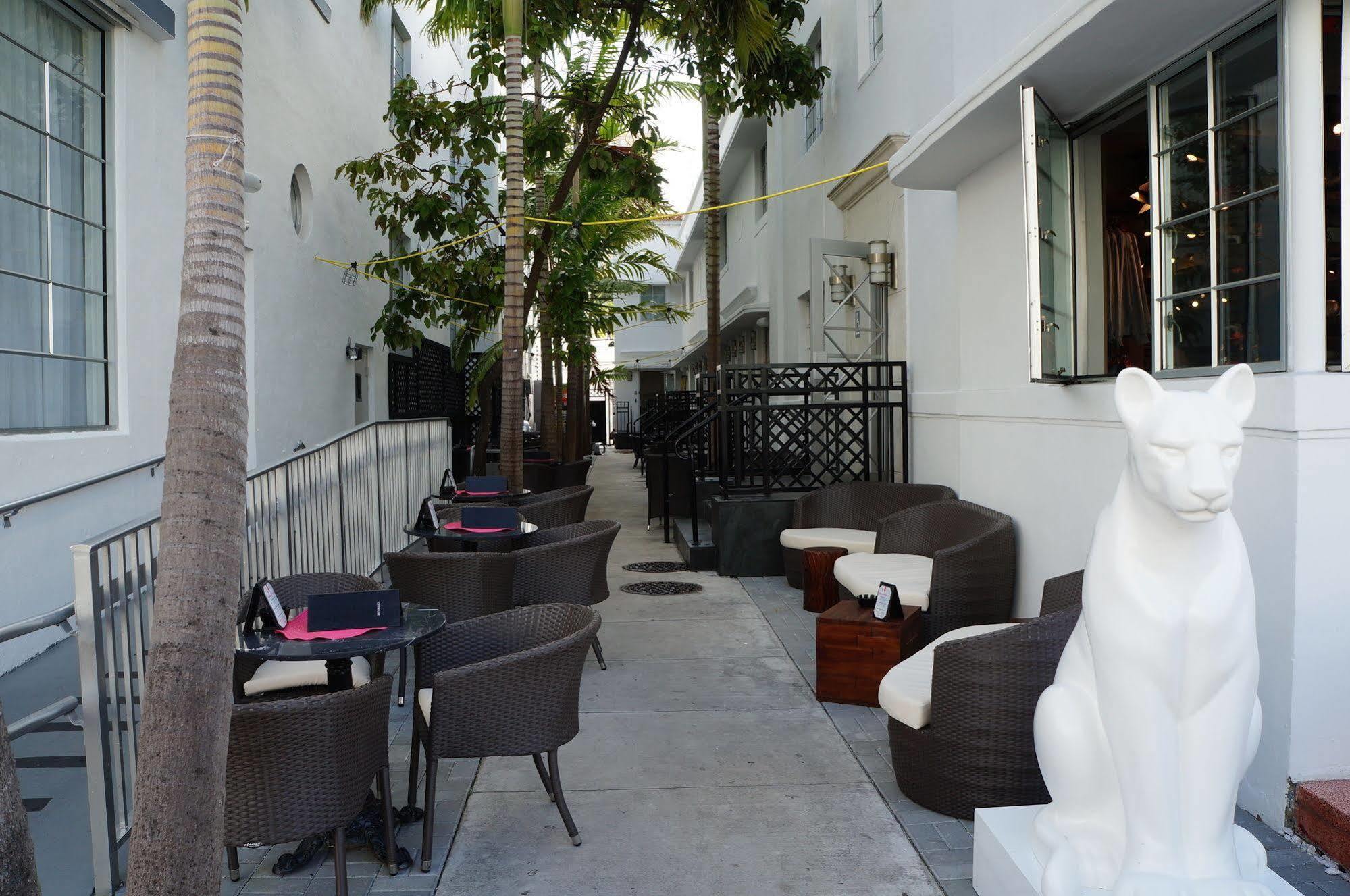 Posh South Beach Miami Beach Exteriör bild